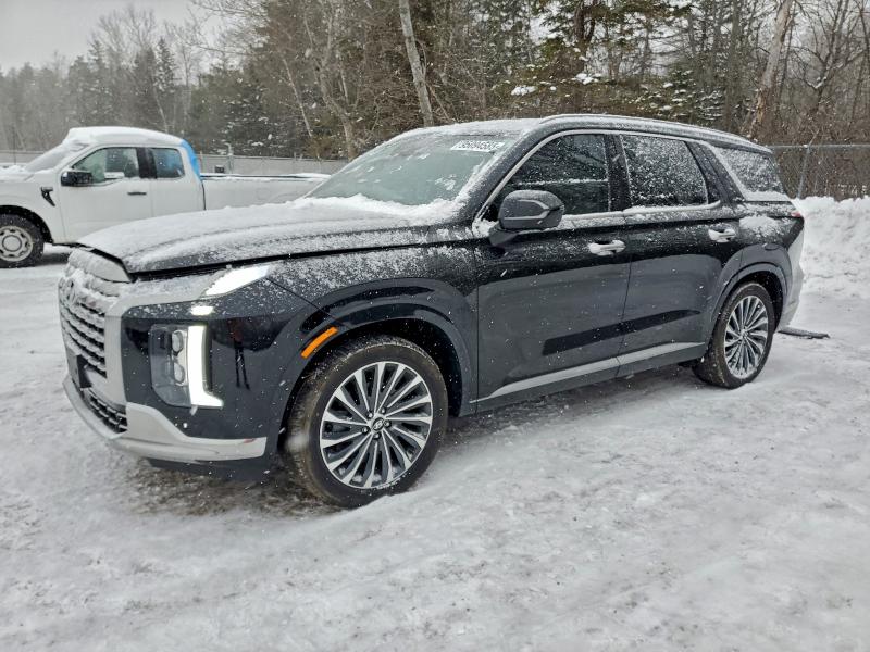 2025 HYUNDAI PALISADE L — VIN KM8R5DGE1SU893644