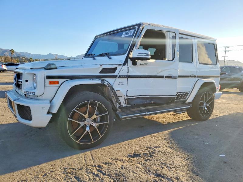 2017 MERCEDES-BENZ G 65 AMG — VIN WDCYC7FF7HX263002