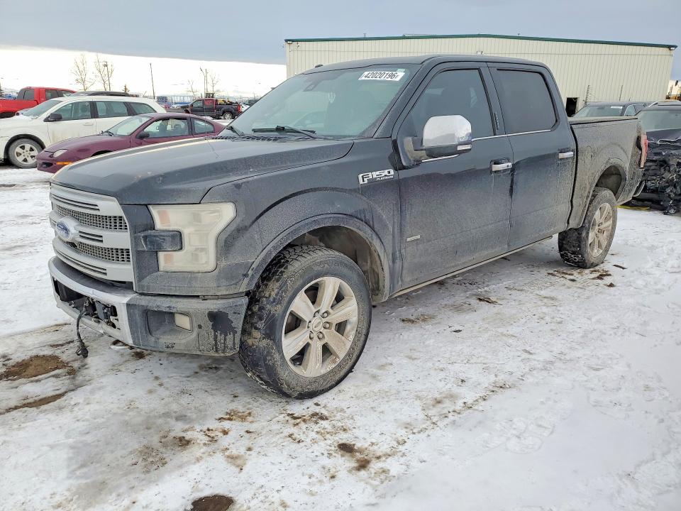 2016 FORD F150 — VIN 1FTEW1EG3GFC49402