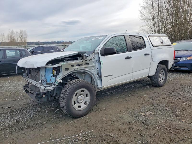 2019 CHEVROLET COLORADO — VIN 1GCGSBEA1K1173982