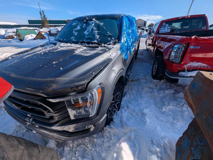 2023 FORD F150 — VIN 1FTFW1E51PKF80392