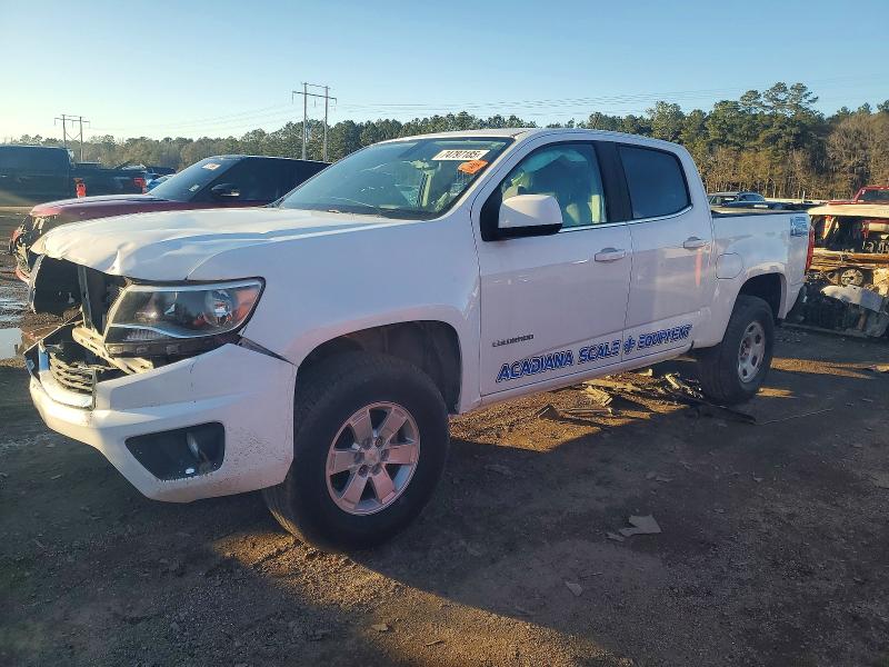 2019 CHEVROLET COLORADO — VIN 1GCGSBEN6K1357902