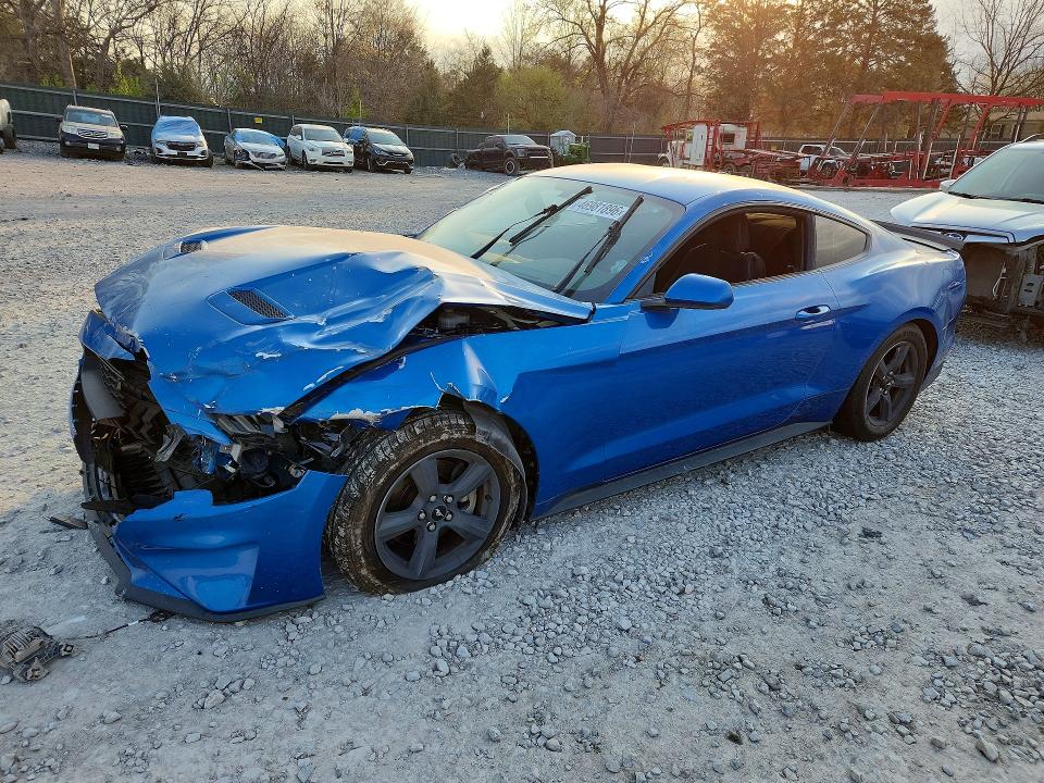 2019 FORD MUSTANG — VIN 1FA6P8TH8K5134210