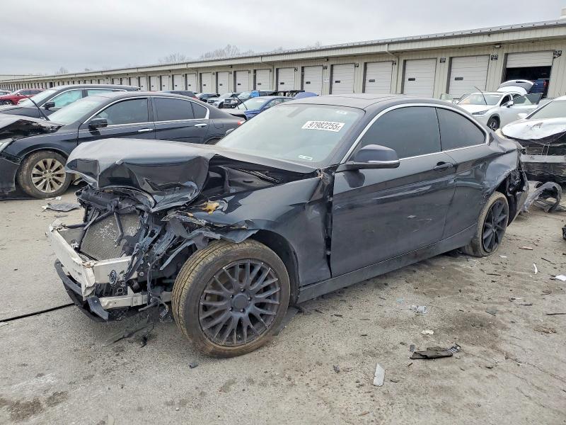 2015 BMW 228 — VIN WBA1F7C58FVX96377
