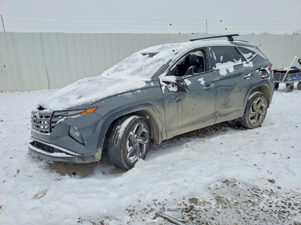 2024 HYUNDAI TUCSON — VIN 5NMJECDE0RH413112