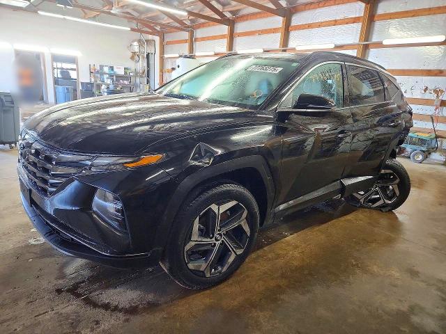 2024 HYUNDAI TUCSON — VIN 5NMJECDE5RH348340