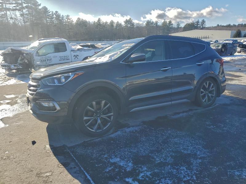 2017 HYUNDAI SANTA FE S — VIN 5XYZWDLA8HG466489
