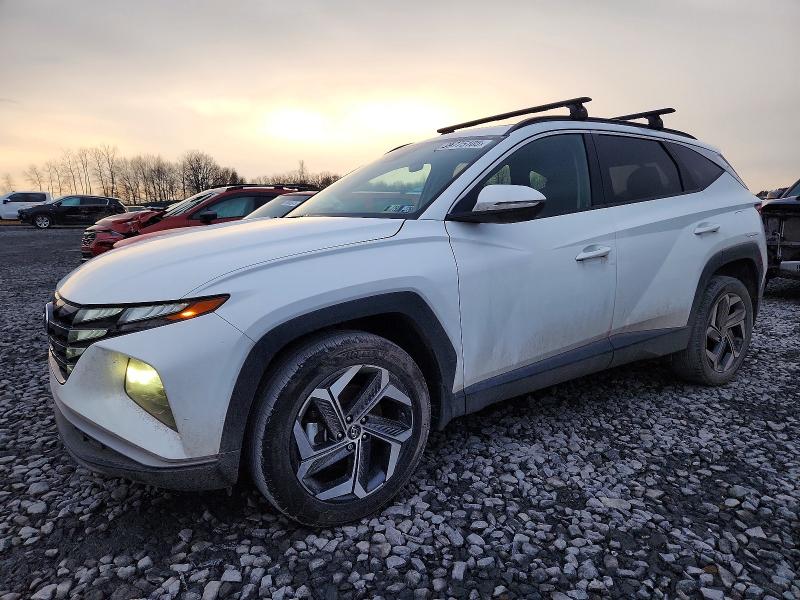 2024 HYUNDAI TUCSON — VIN 5NMJFCDE2RH366582