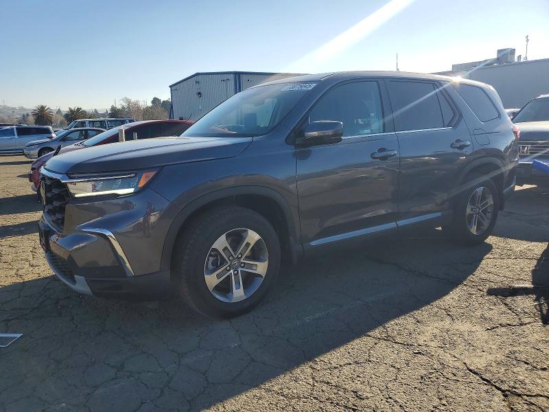 2024 HONDA PILOT — VIN 5FNYG1H55RB041646