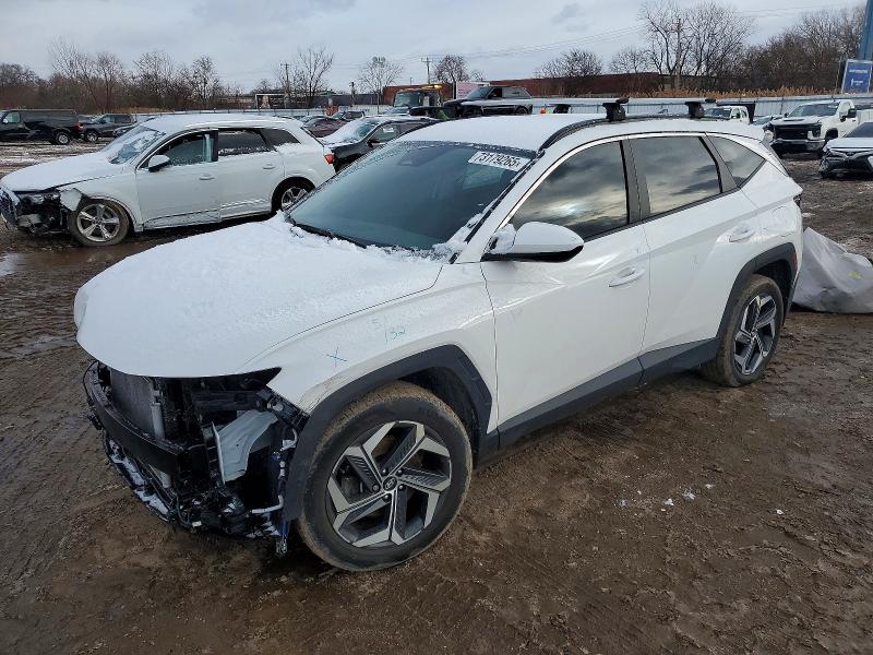 2024 HYUNDAI TUCSON — VIN 5NMJBCDE3RH424257