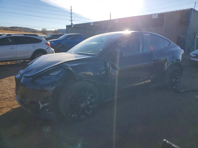 2023 TESLA MODEL Y — VIN 7SAYGDEE3PA184632