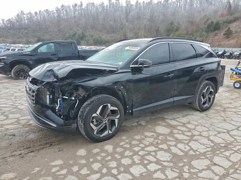 2024 HYUNDAI TUCSON LIM — VIN 5NMJECDE4RH294772