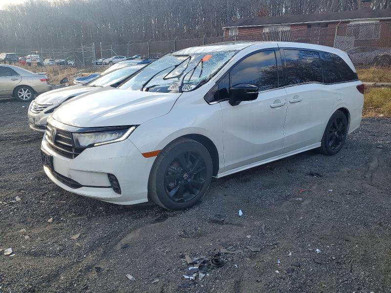 2024 HONDA ODYSSEY — VIN 5FNRL6H79RB061266