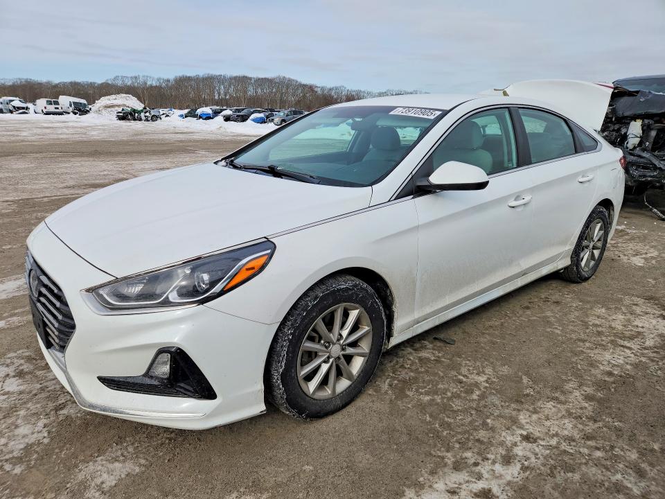 2019 HYUNDAI SONATA — VIN 5NPE24AF4KH786319