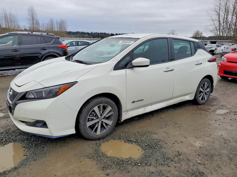 2019 NISSAN LEAF S PLU — VIN 1N4BZ1CP9KC313715
