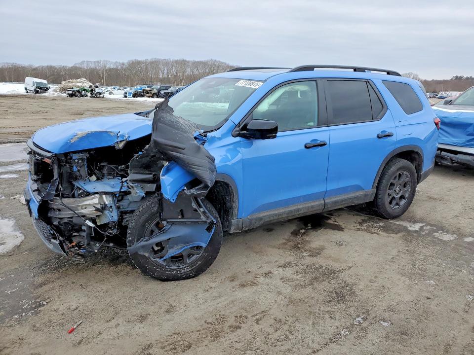 2024 HONDA PILOT — VIN 5FNYG1H64RB000837