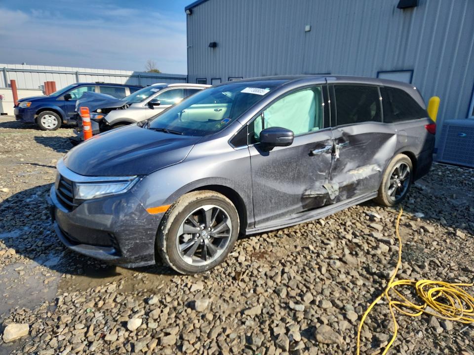 2023 HONDA ODYSSEY — VIN 5FNRL6H95PB070206