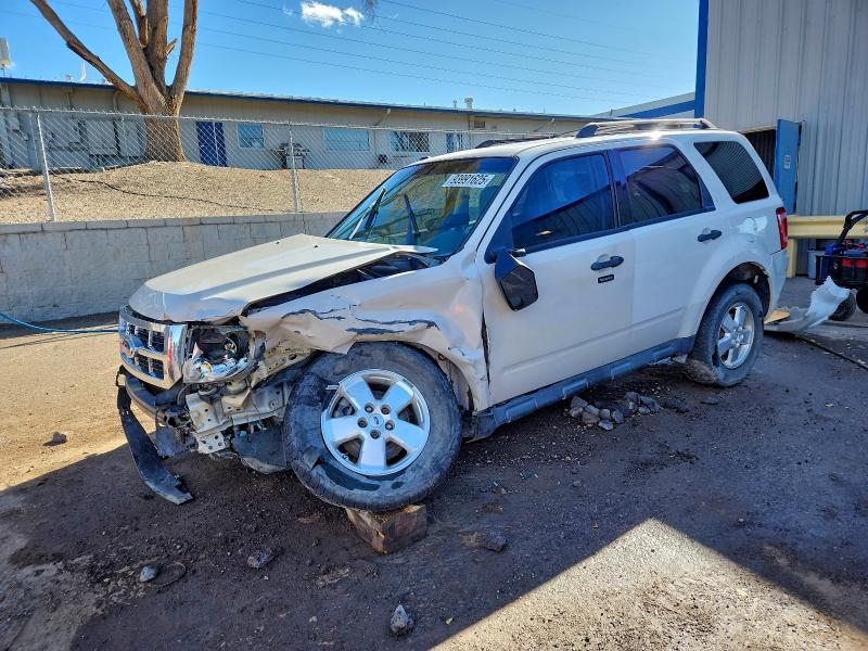 2011 FORD ESCAPE XLT — VIN 1FMCU9DG8BKB46310