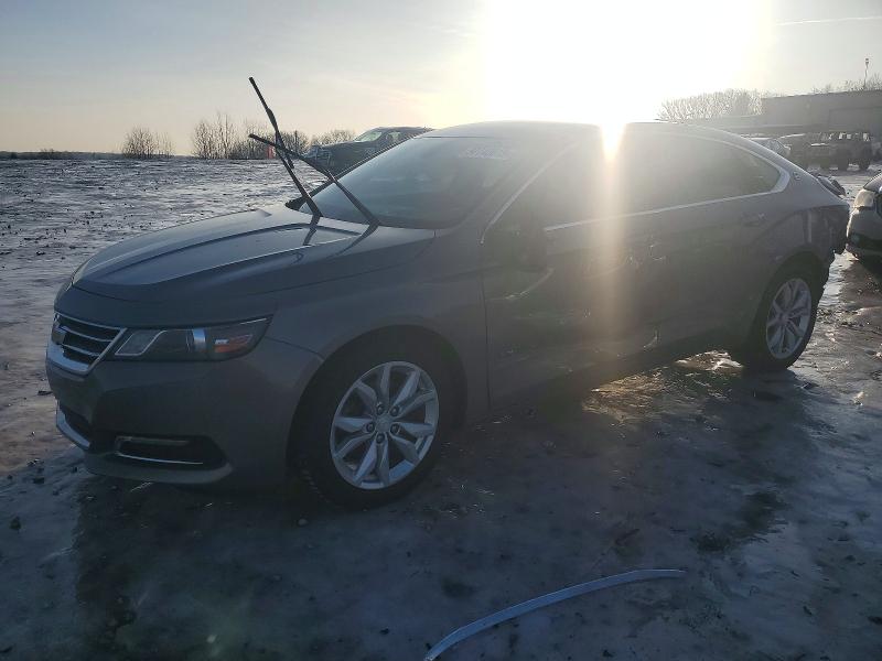 2019 CHEVROLET IMPALA LT — VIN 1G11Z5SA7KU132349