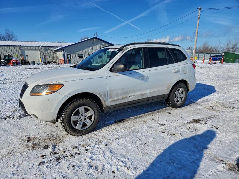 2009 HYUNDAI SANTA FE G — VIN 5NMSG13D09H289077