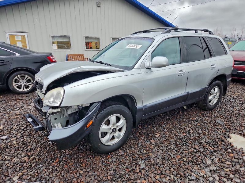 2006 HYUNDAI SANTA FE G — VIN KM8SC13D26U041022