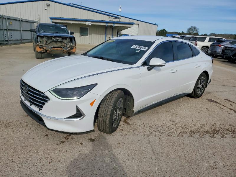 2023 HYUNDAI SONATA — VIN KMHL24JJ4PA073295