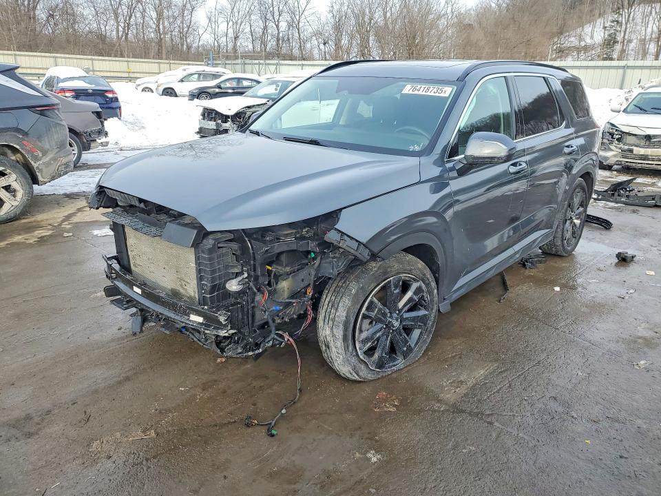 2024 HYUNDAI PALISADE X — VIN KM8R3DGE3RU807315