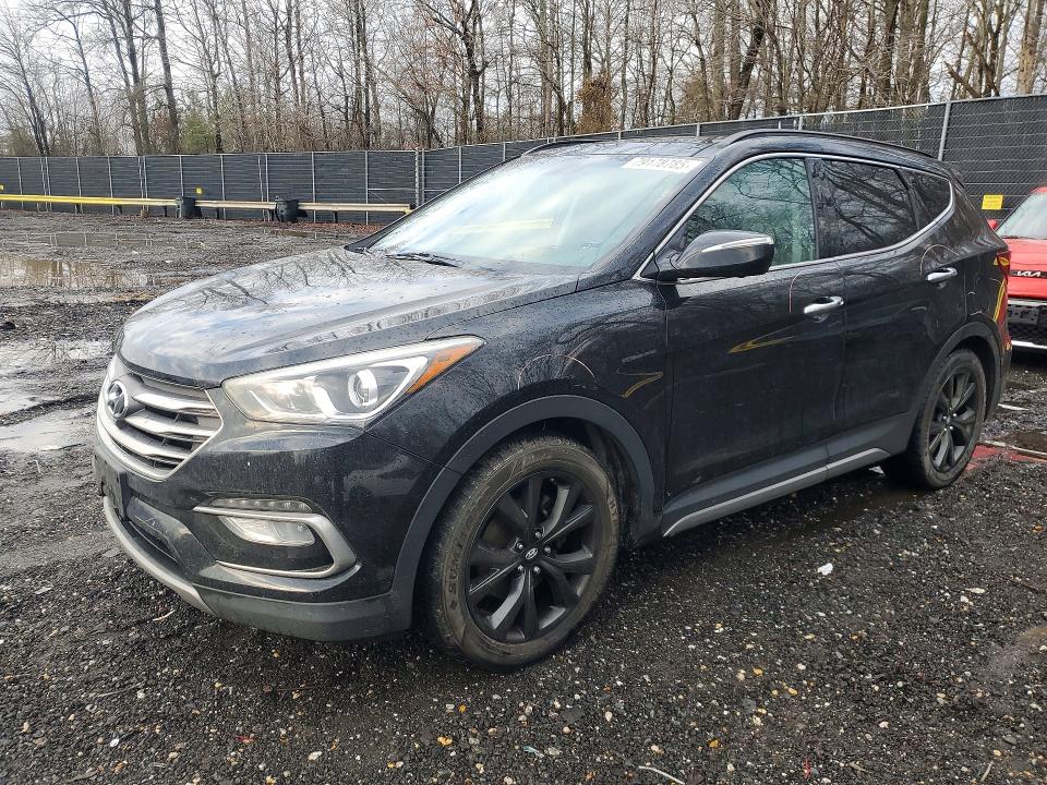 2017 HYUNDAI SANTA FE SPORT — VIN 5XYZW4LA1HG417134