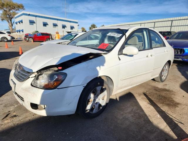 2009 KIA SPECTRA EX — VIN KNAFE222295646899