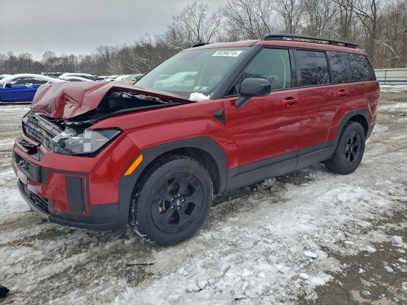 2024 HYUNDAI SANTA FE X — VIN 5NMP3DGLXRH041116