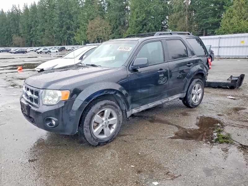 2009 FORD ESCAPE XLT — VIN 1FMCU93G09KB46216