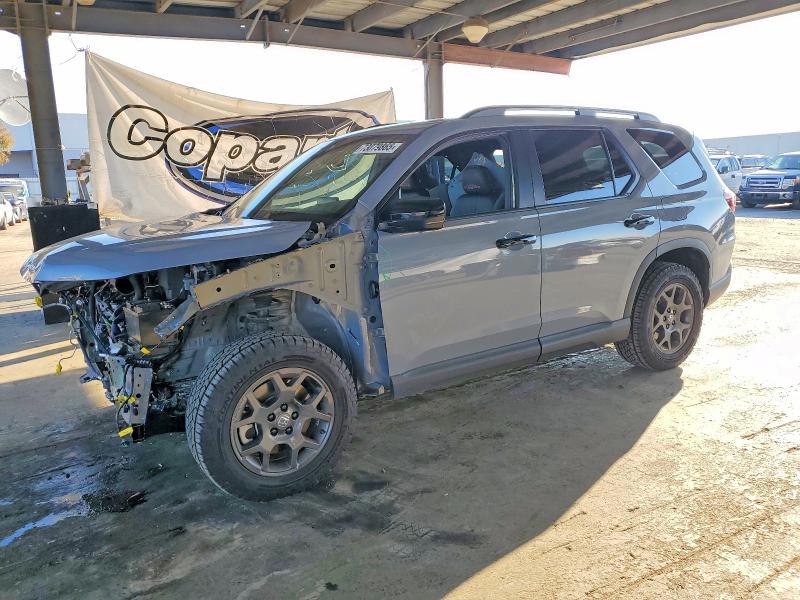 2025 HONDA PILOT TRAI — VIN 5FNYG1H6XSB105453