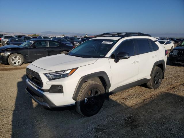 2024 TOYOTA RAV4 TRD OFF ROAD — VIN 2T3S1RFVXRW435520