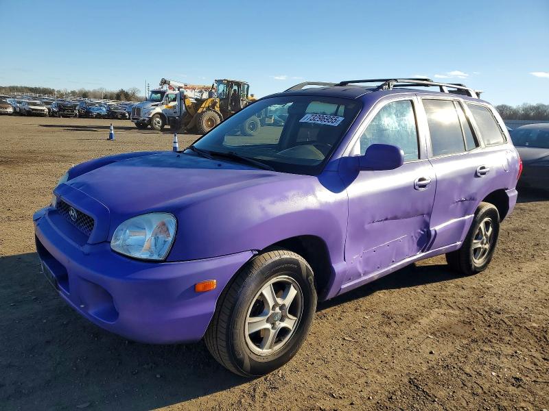 2004 HYUNDAI SANTA FE G — VIN KM8SC13D84U619069