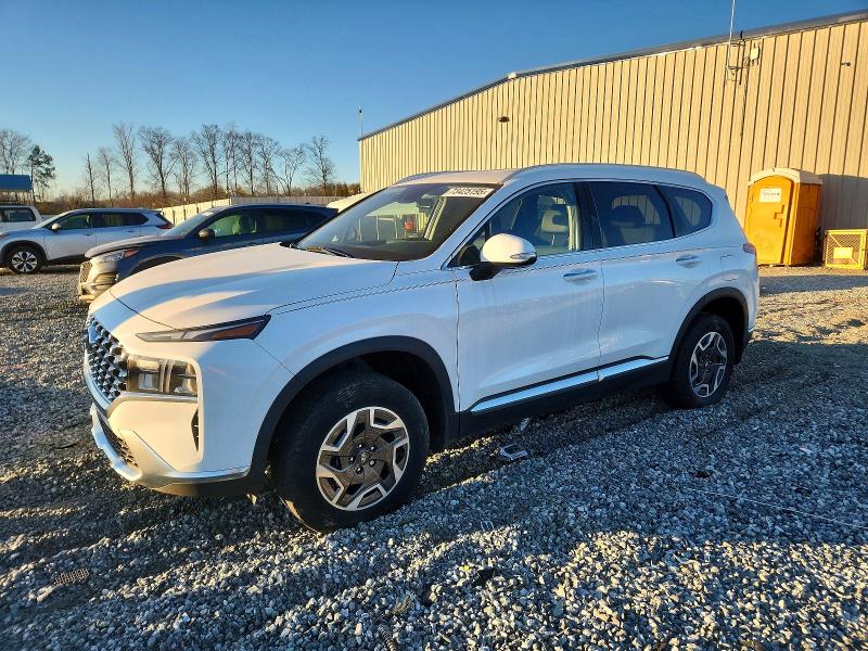 2021 HYUNDAI SANTA FE B — VIN KM8S2DA1XMU008831