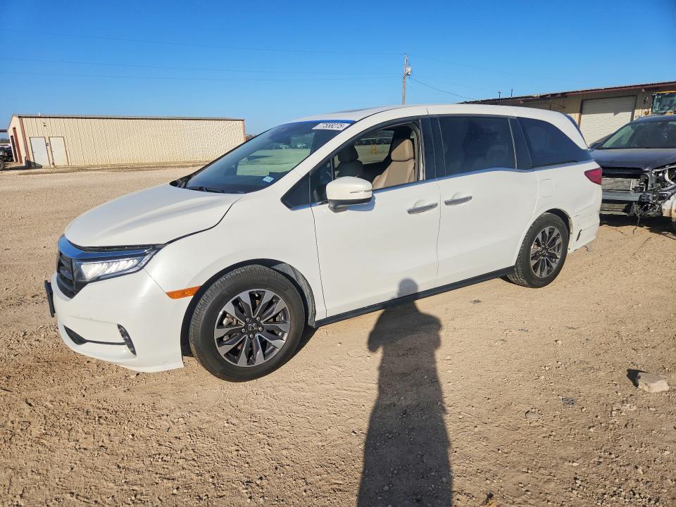 2021 HONDA ODYSSEY — VIN 5FNRL6H70MB032327