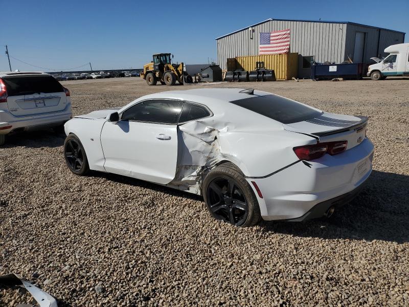 1G1FB1RX7K0137569