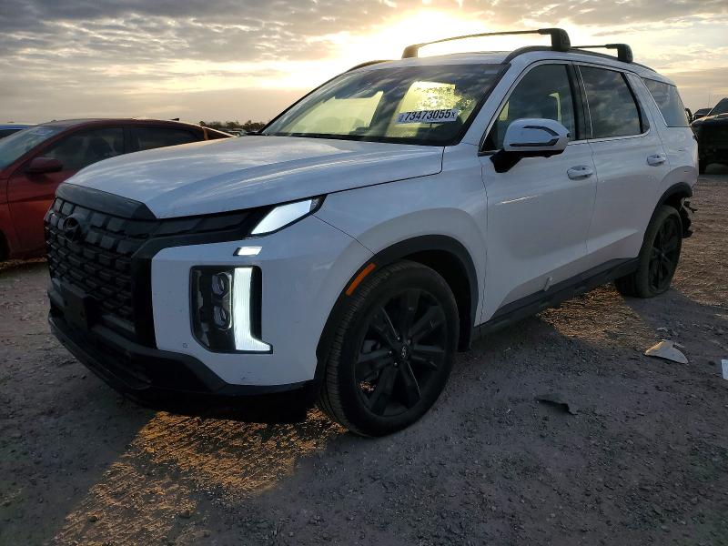 2025 HYUNDAI PALISADE X — VIN KM8R34GE4SU901824