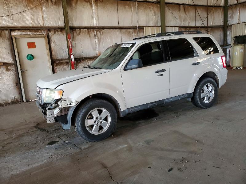 2010 FORD ESCAPE XLT — VIN 1FMCU0DG7AKD46461