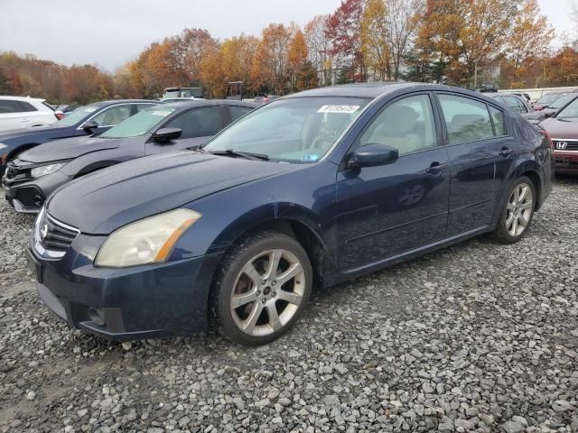 2008 NISSAN MAXIMA SE — VIN 1N4BA41E58C835826