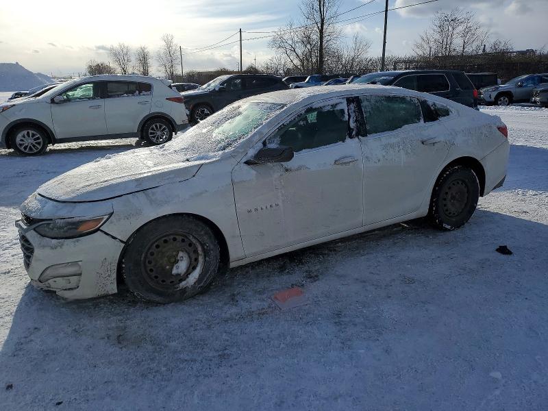 2019 CHEVROLET MALIBU — VIN 1G1ZB5ST8KF174185