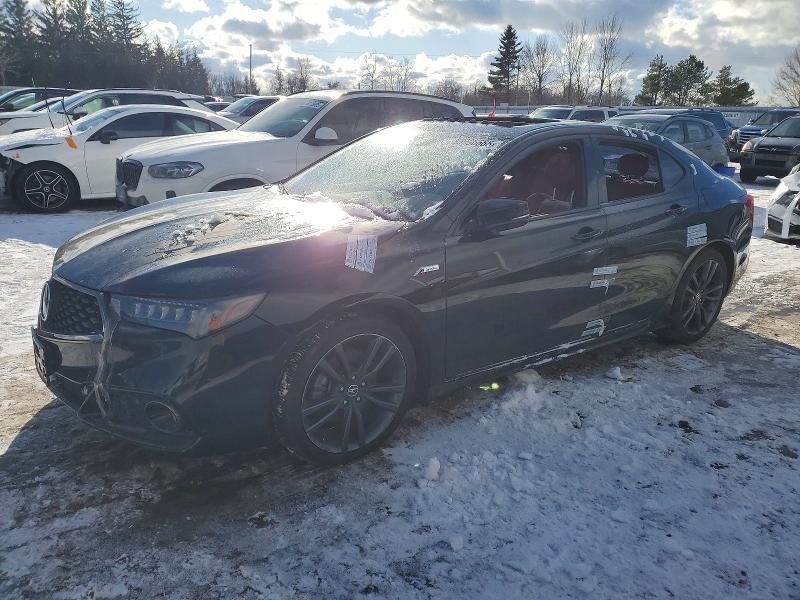2019 ACURA TLX TECHNO — VIN 19UUB3F62KA801343