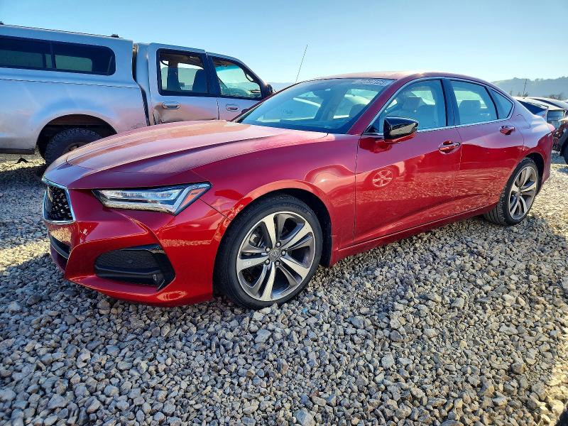 2021 ACURA TLX ADVANC — VIN 19UUB6F63MA008346