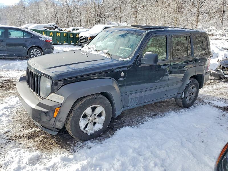 2010 JEEP LIBERTY RE — VIN 1J4PN3GK5AW146766