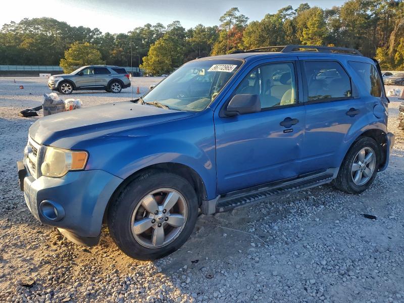 2009 FORD ESCAPE XLT — VIN 1FMCU03G89KD05592
