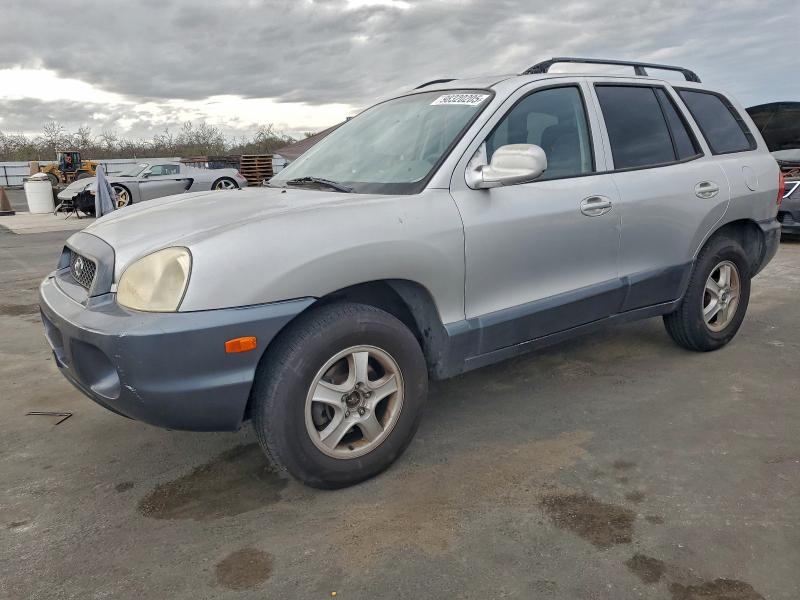 2003 HYUNDAI SANTA FE G — VIN KM8SC73D03U447511