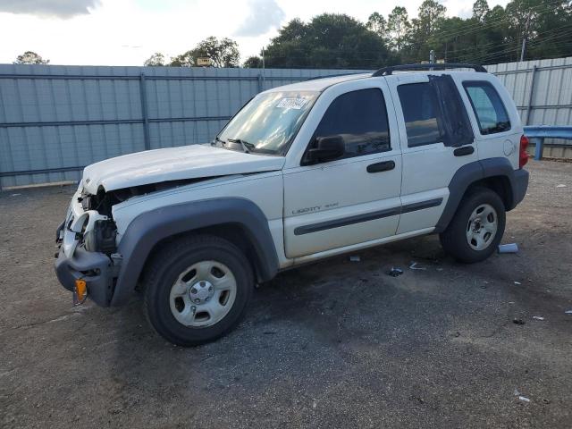 2003 JEEP LIBERTY SP — VIN 1J4GL48KX3W707069