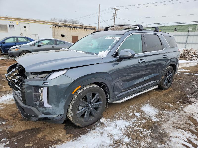 2025 HYUNDAI PALISADE — VIN KM8R3DGE4SU900155