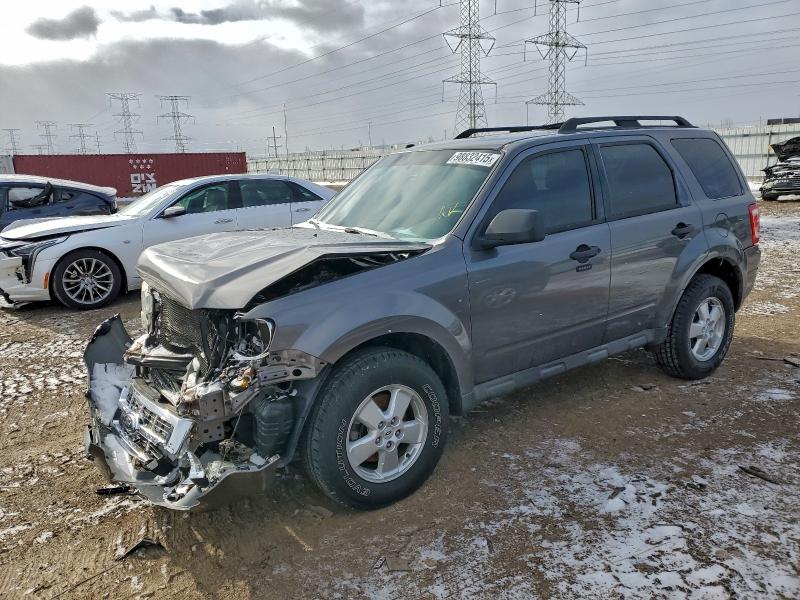 2010 FORD ESCAPE XLT — VIN 1FMCU0D7XAKB09592