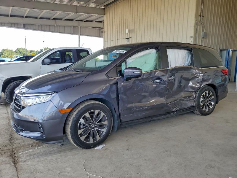 2024 HONDA ODYSSEY — VIN 5FNRL6H67RB043128